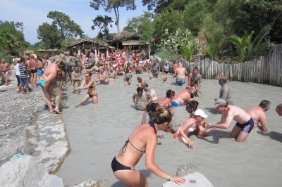 dalyan4m