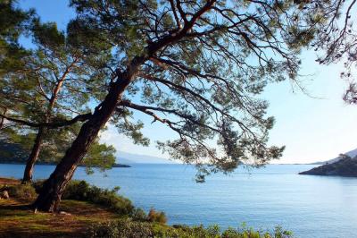 gemilerbeach5m