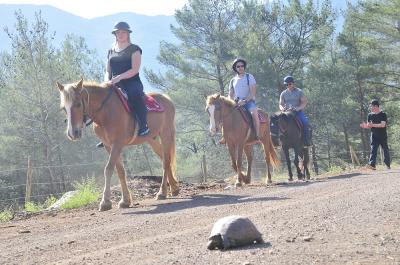 horse_riding3m