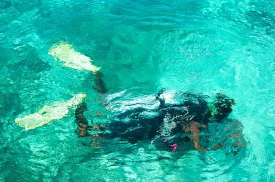 Diver rising