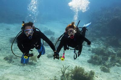 Scuba buddy diving