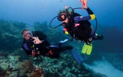 diving1-scaled