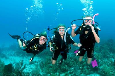diving5l