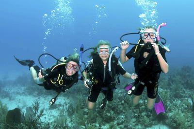 diving8