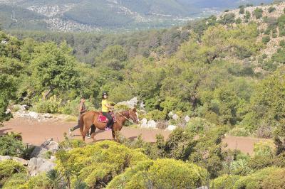 horseriding_1