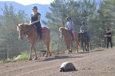 horseriding_5